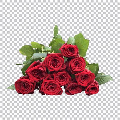 Buqu De Rosas Vermelhas Imagens Png Fundopng