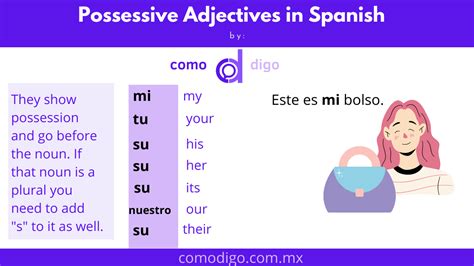 Possessive Adjectives In Spanish Mi Tu Su Nuestro