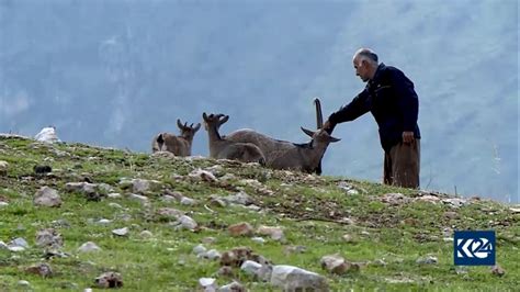 Photos Nature Preservation A Longtime Tradition In Kurdistans Barzan