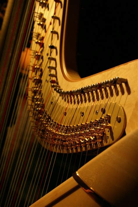 Harp Instrument Wallpapers 4k Hd Harp Instrument Backgrounds On