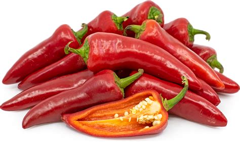 Red Fresno Chile Peppers Information Recipes And Facts