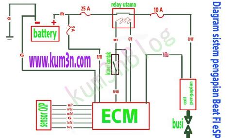Cat 5 wiring standard amazing wiring diagram product. Cat5 Wiring Diagram B Collection