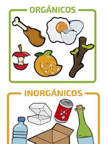 Top 133 Imagenes De Basura Organica E Inorganica Para Niños
