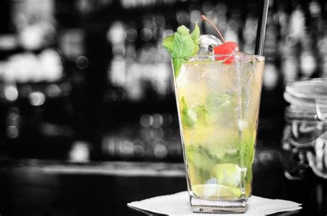 Top 10 Best Gin Cocktails With Videos Drinks Geek
