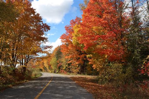 Fall Day Trips From Toronto