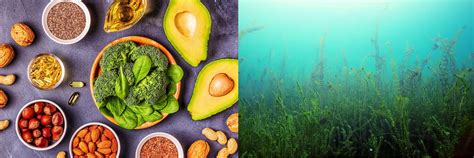 Vegan Omega-3 - Do Vegans Need It? - Sanutrition