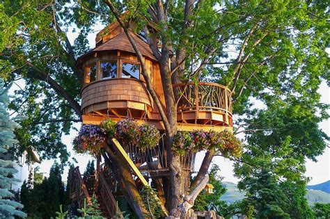 Livable Tree Houses For Sale Amazing Treehouses You Ll Want To Call
