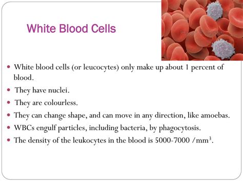 Ppt Biology I Blood Powerpoint Presentation Free Download Id2334437