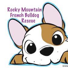 All of our french bulldog puppies are bred for health, temperament and personality and are raised underfoot in our home. Rocky Mountain French Bulldog Rescue - Home | Facebook