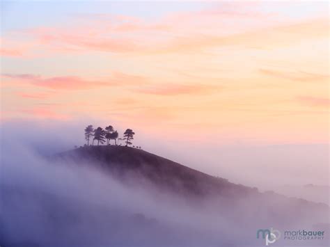 Misty Dawn Colmers Hill Mark Bauer Photography