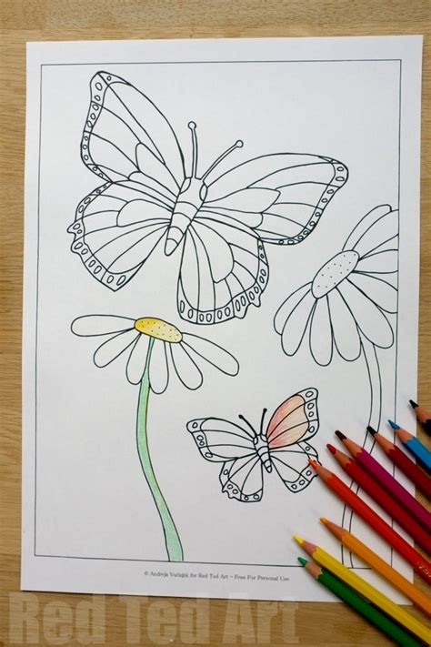 Summer Colouring Pages For Kids Butterflies And Flowers