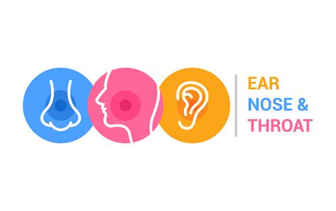 Test Your Ear Nose And Throat Knowledge With These Fun Facts Ear