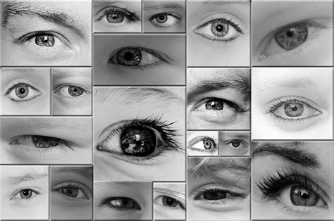 Eyes Black And White Free Stock Photo Public Domain Pictures