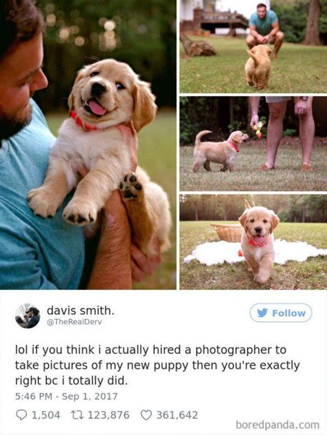 These Spoiled Dogs Are Living Their Best Lives 30 Pics Funnyfoto
