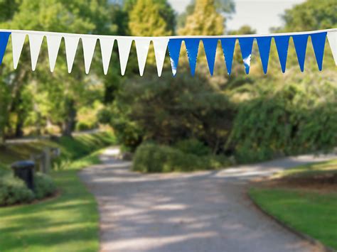 Gala Bunting Custom Bunting Flags For Special Functions