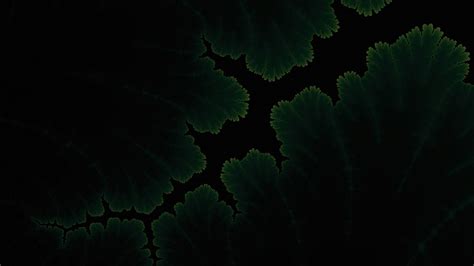 Green Amoled Wallpapers Wallpaper Cave