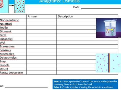 Osmosis Anagram Sheet Science Biology Starter Keywords Activity Ks3