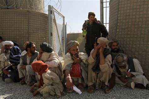 Coalition Routs Taliban In Southern Afghanistan The New York Times