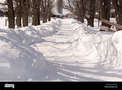 Snow Covered Farm Driveway With Large Drifts On Either Side Stock Photo