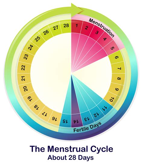 A Girls Guide To Optimizing Performance With The Flow Of Her Menstrual
