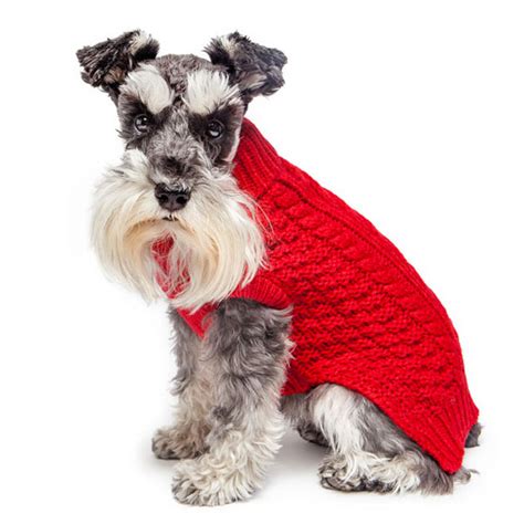 Dog Sweaters So Cute Youll Want To Wear Them Modern Dog Magazine