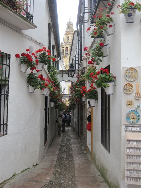 An Alley Way With Flowers Growing On The Buildings