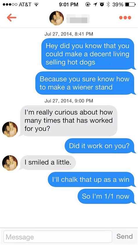 Funniest Tinder Profiles Full Of Puns And Chat Up Lines Daily Mail Online