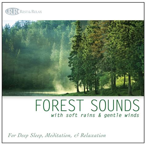 Rest & Relax Nature Sounds Artists - Forest Sounds: with Soft Rains ...