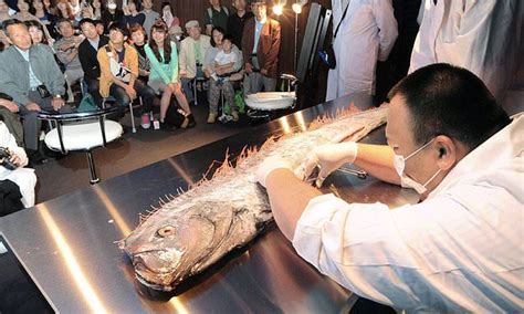 Fear In Japan After Deep Sea Fish Associated With Disasters Wash Up