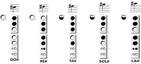 La Sostenido Flauta Dulce Estudiar