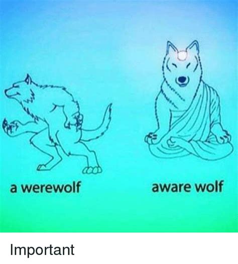 A Werewolf Aware Wolf Important Meme On Meme