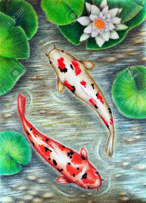 Original Painting Colored Pencils Beautiful Koi Fish Modern Art