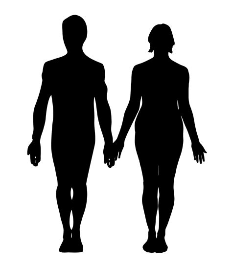 Comparativa Del Cuerpo Humano Hombre Y Mujer Cristina