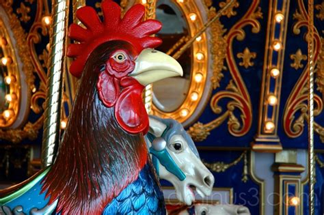 Carousel Rooster Lifestyle And Culture Photos Milk Is For Babies