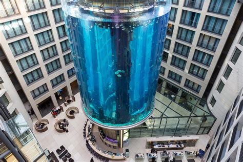 aquadom berlin radisson blu berlin heiraten im aquarium v sealife hotel berlin aqua aufzug
