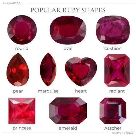 Popular Ruby Shapes Jewel Drawing Gemstones Chart Minerals And