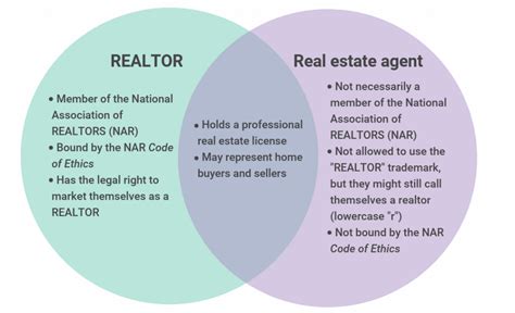 Realtor Vs Real Estate Agent Which Works Best For You