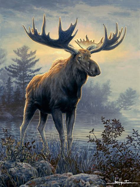 754 Best Moose Images On Pinterest Moose Moose Art And Animals