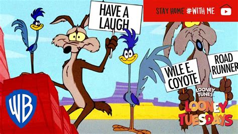 roadrunner vs wile e coyote have a laugh wile e coyote and road runner kinderfilmpjes
