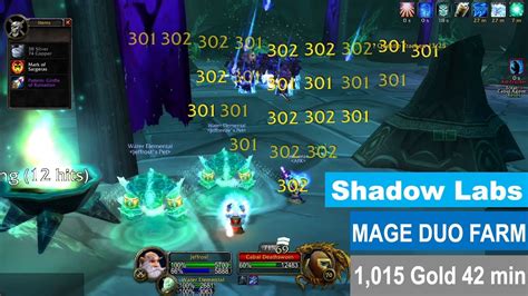 Gold Farming Mage Duo Shadow Labs No Boosting Youtube
