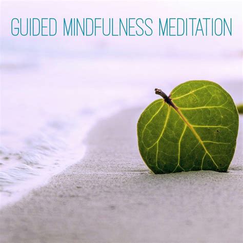 Guided Mindfulness Meditation Zen Mind Relaxing Zen Music