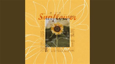 Sunflower Youtube Music