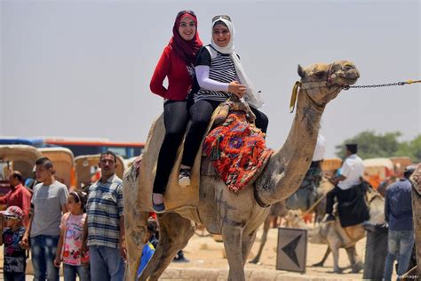 How can i have an ethical camel riding experience? The week in pictures - Middle East Monitor