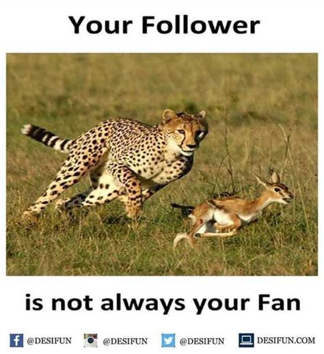 More on this quote ››. dopl3r.com - Memes - Your Follower is not always your Fan @DESIFUN@DESIFUN @DESIFUN DESIFUN.COM