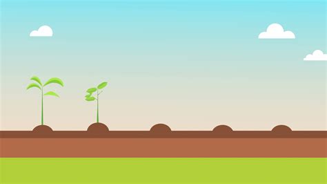 Plant Growing Animation Stock Video Footage For Free Download