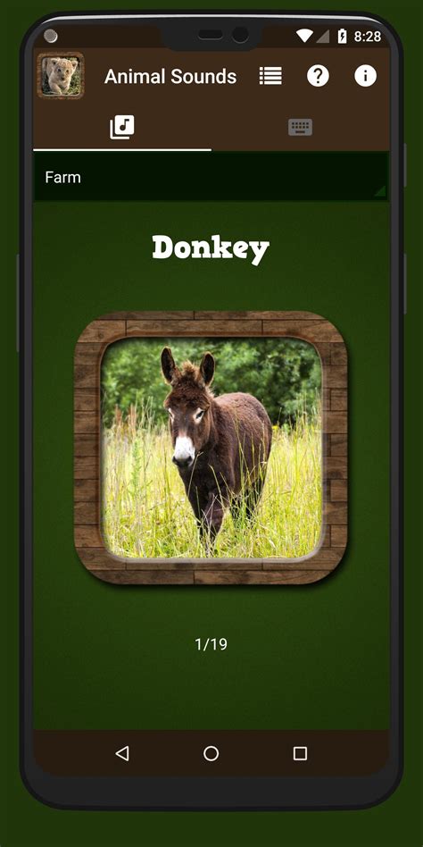 Animal Sounds Apk For Android Download