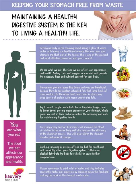 How To Maintain A Healthy Digestive System Infographic Kauvery Hospital