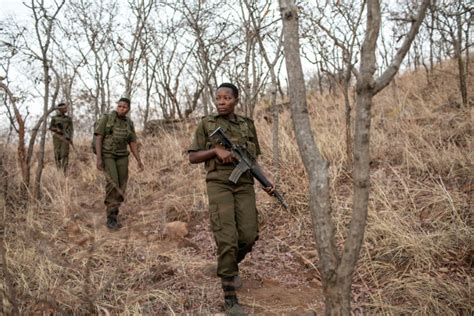 bangkok post the brave ones zimbabwe s women rangers taking on poachers