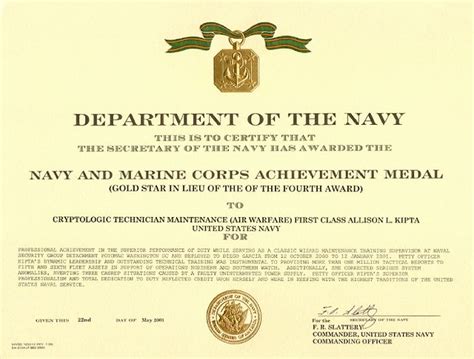 Navy Achievement Medal Write Up Federal Resume