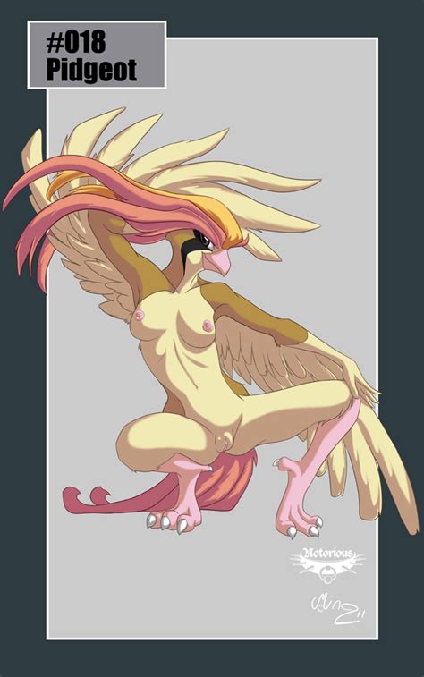 Rule 34 Anthro Breasts Color Crouching Exposed Breasts Feathers Female Female Only Front View
